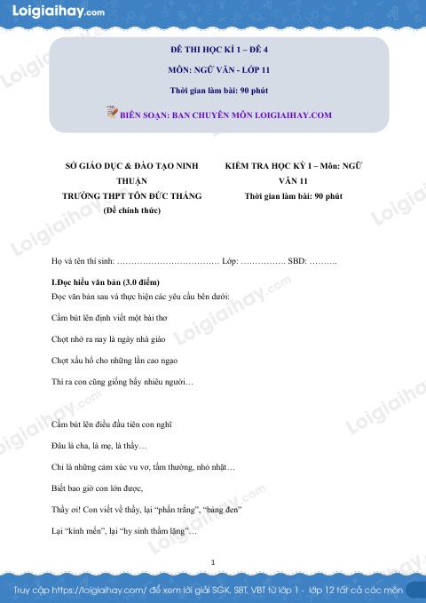 Giải đề thi học kì 1 Ngữ văn lớp 11 năm 2019 - 2020 trường THPT Tôn Đức Thắng